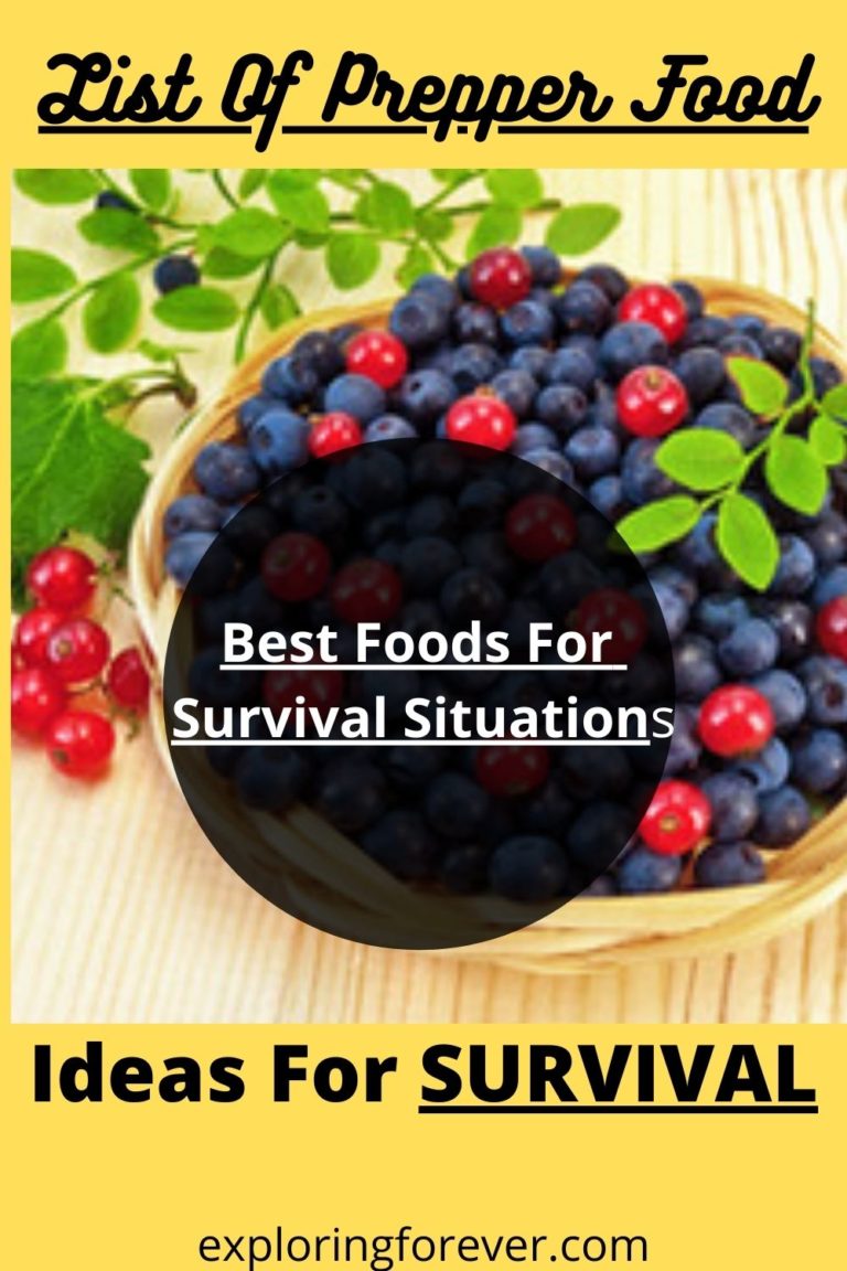 List Of Prepper Garden Food Ideas For Survival – Exploring Forever